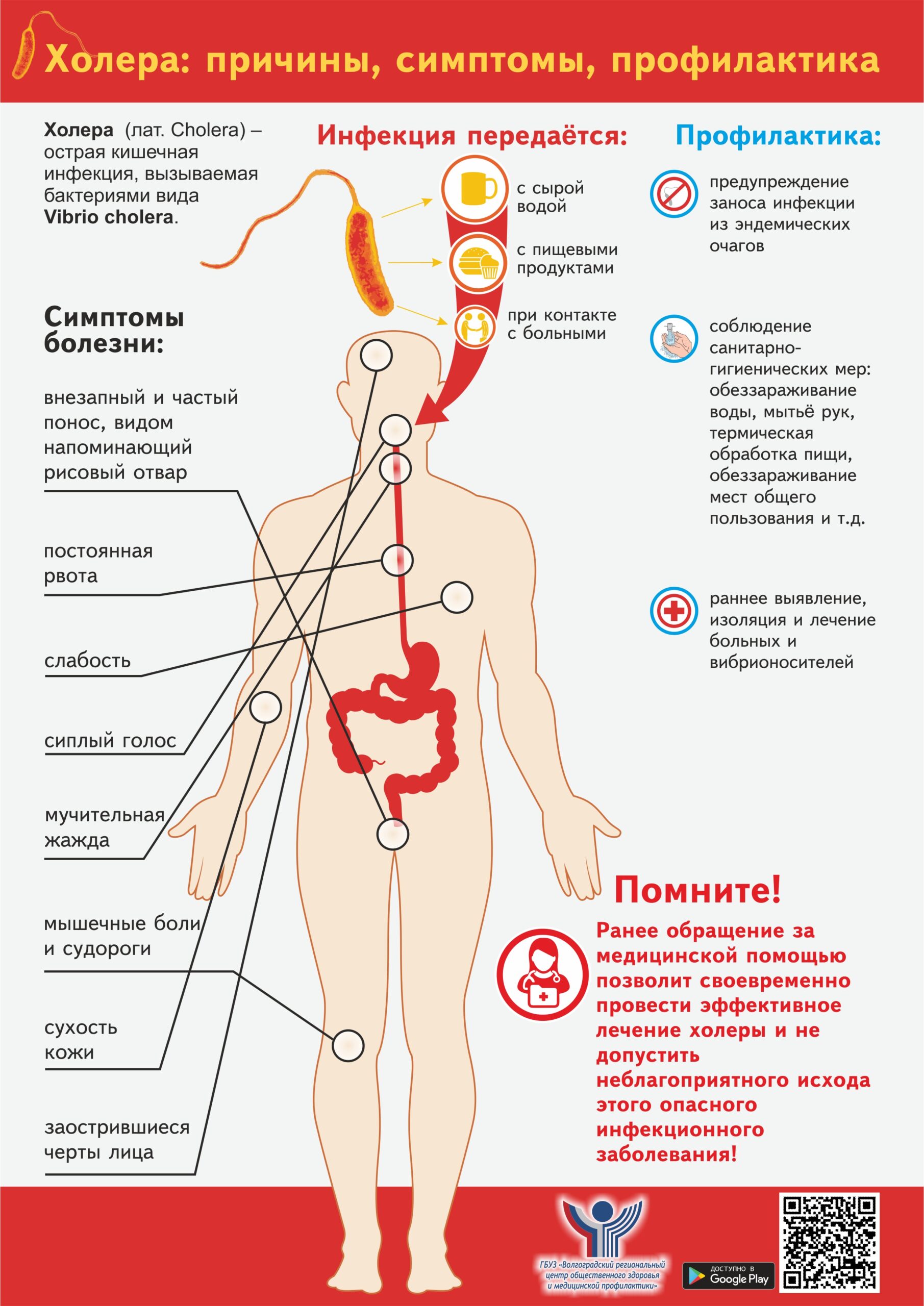 Болезни из за которых человек. Холера памятка симптомы. Холера симптомы заболевания. Холера причины симптомы профилактика. Профилактика холеры памятка.